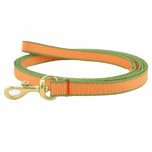 Teacup Leash | Tangerine & Pine