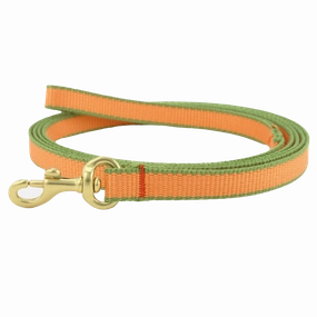 Teacup Leash | Tangerine & Pine