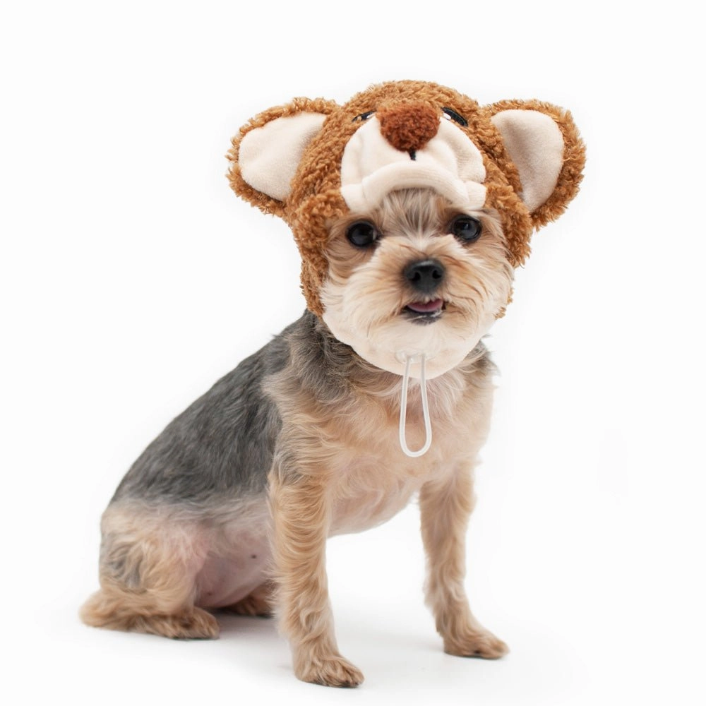 Teddy Bear Hat