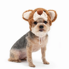 Teddy Bear Hat
