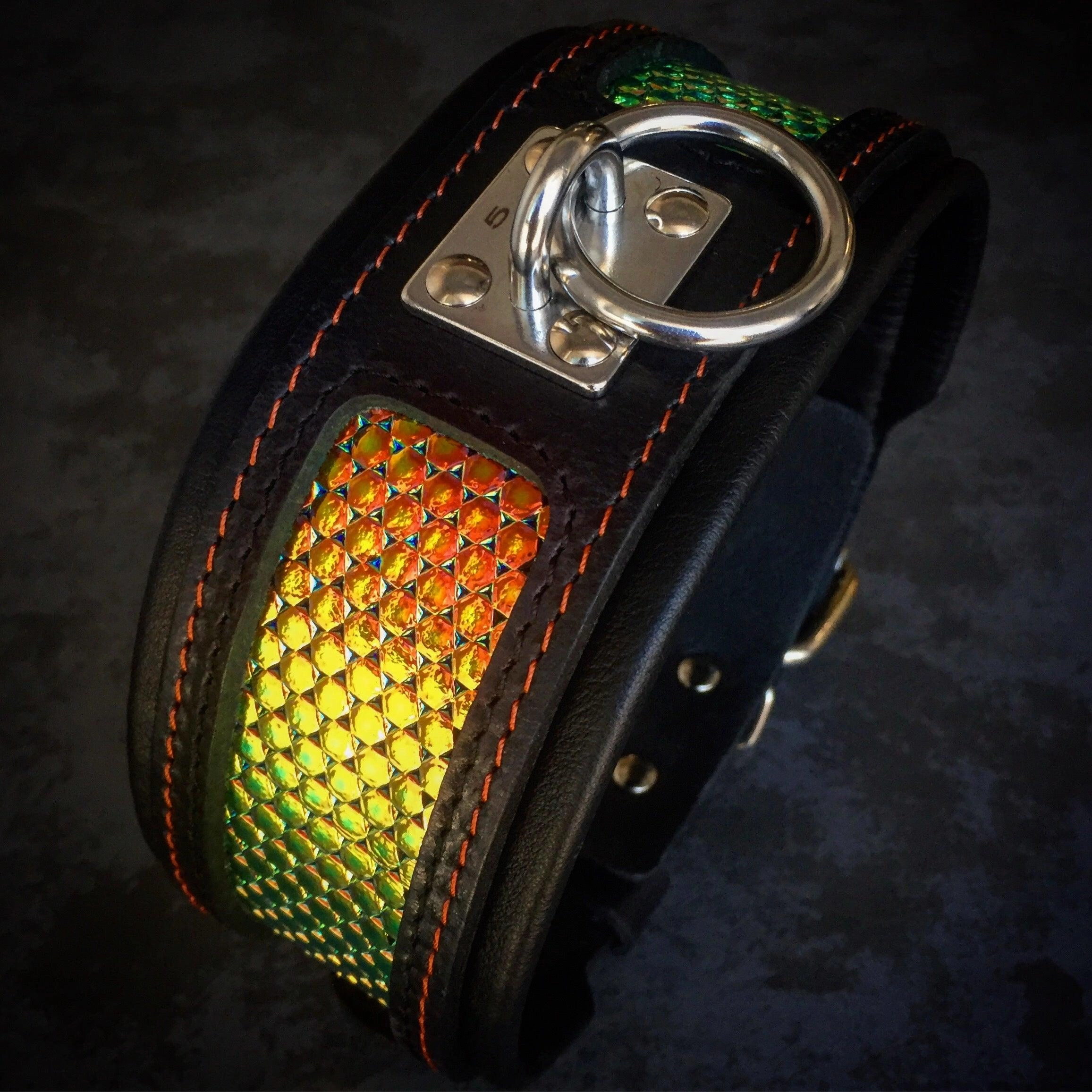 The ''D`Albertis'' collar
