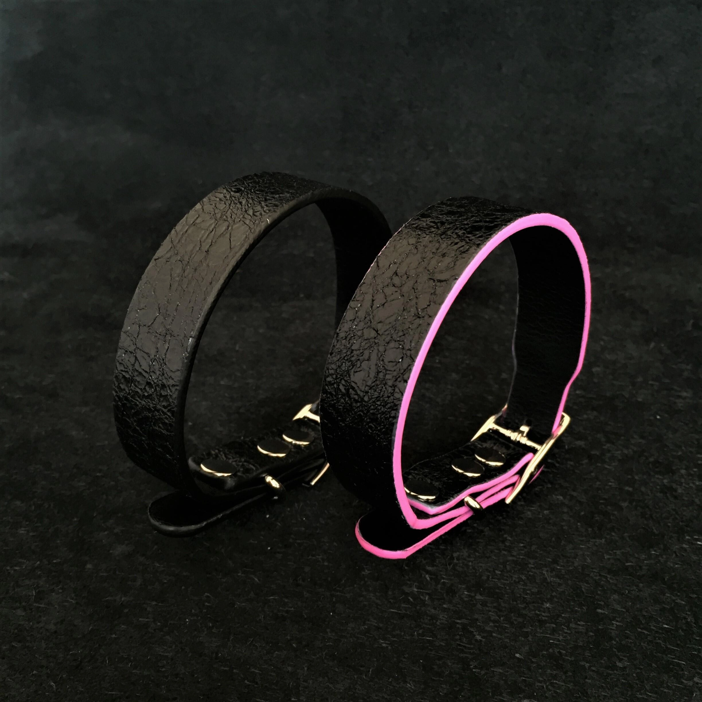 The ''Taurus'' puppy collar