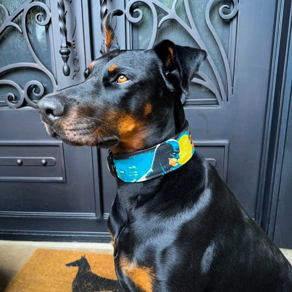 The Batman and the Catwoman Limited Collar