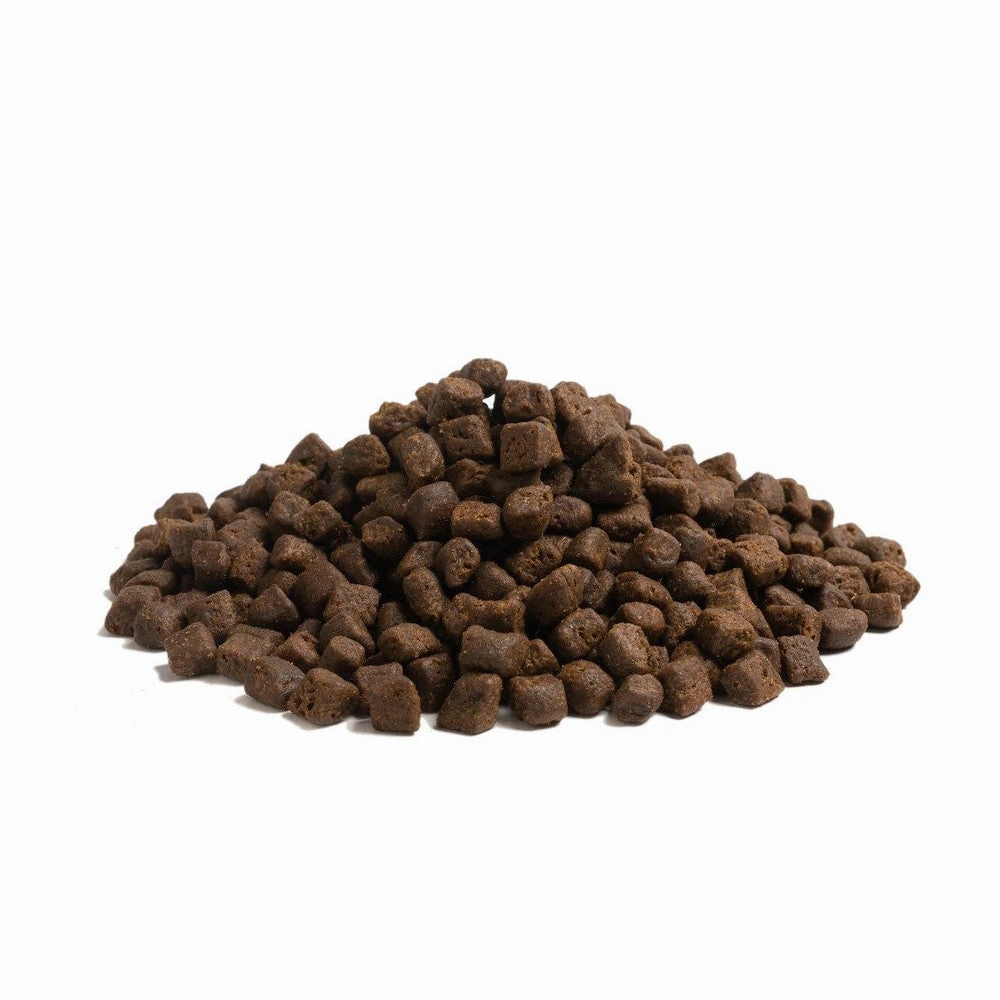 The Beginning Puppy Small Breed Dog Dry Food