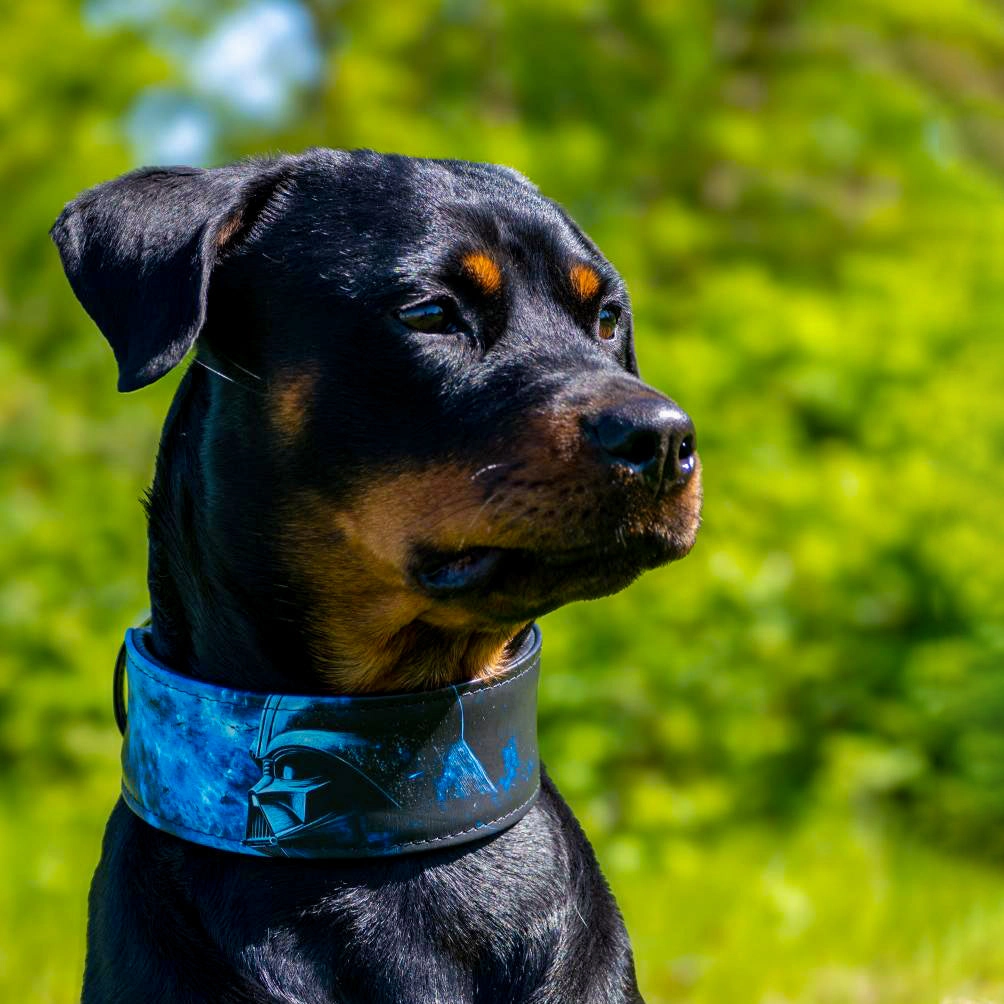 The Darth Vader Limited Collar