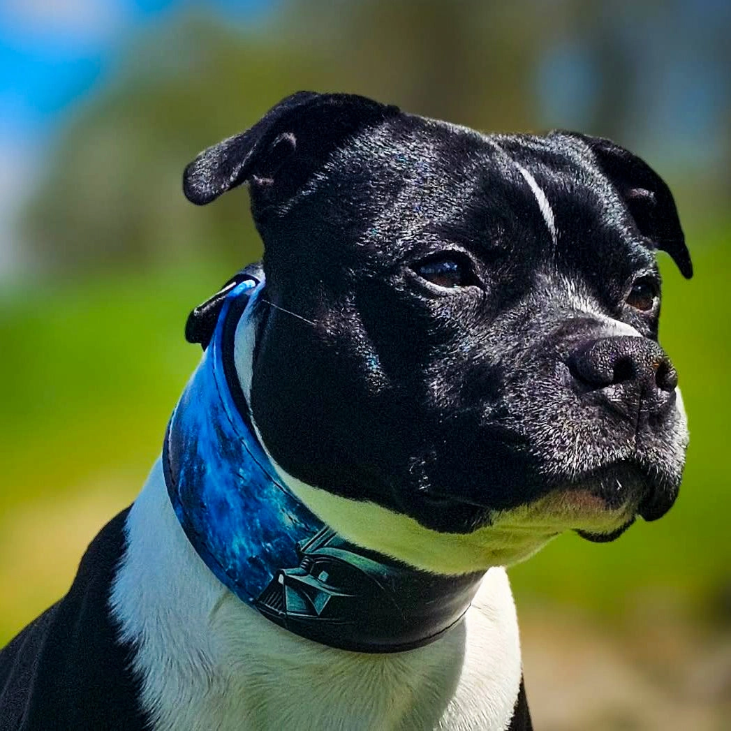 The Darth Vader Limited Collar