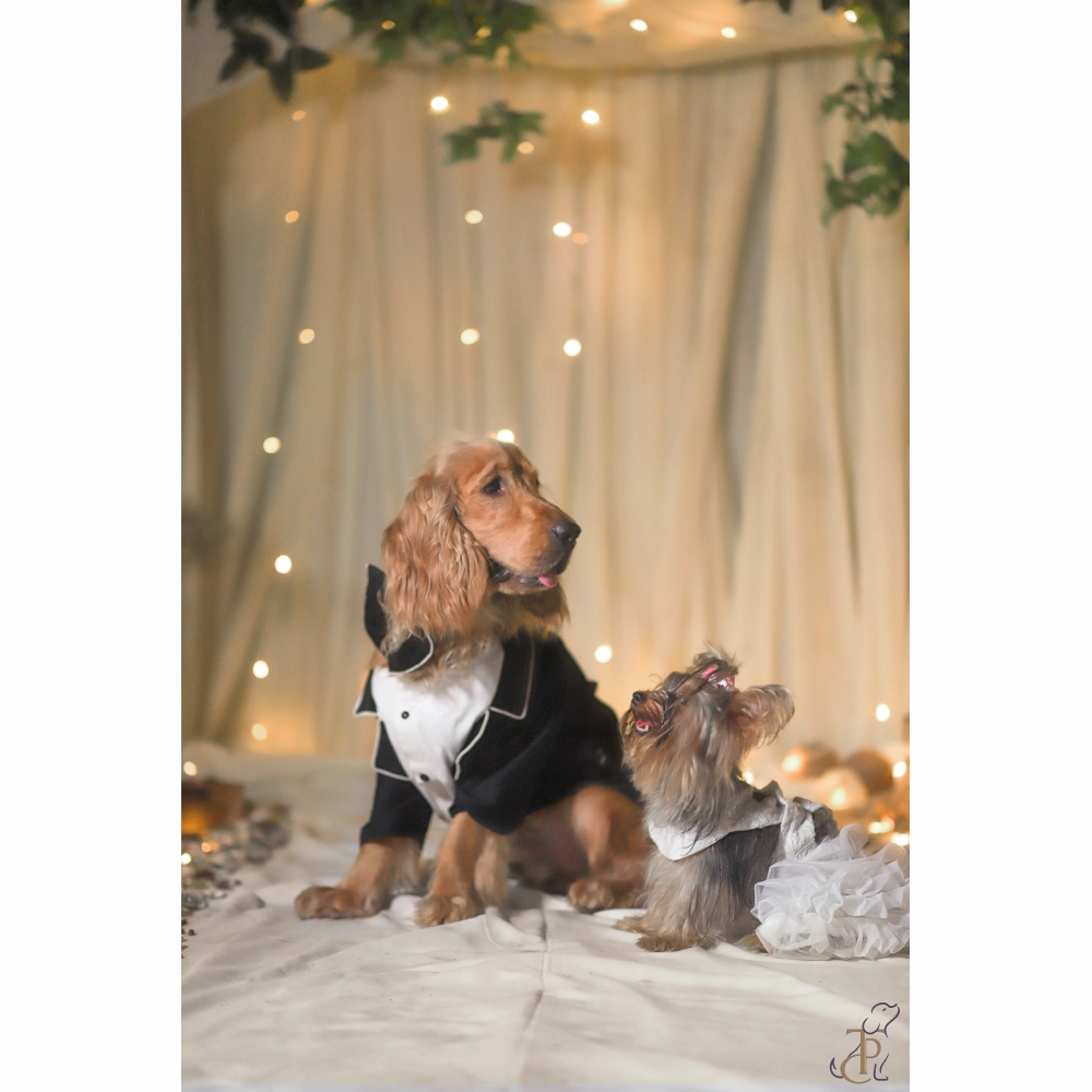 The Papaw Cartel Dapper Styled Button Down Tuxedo for Dogs (Black)