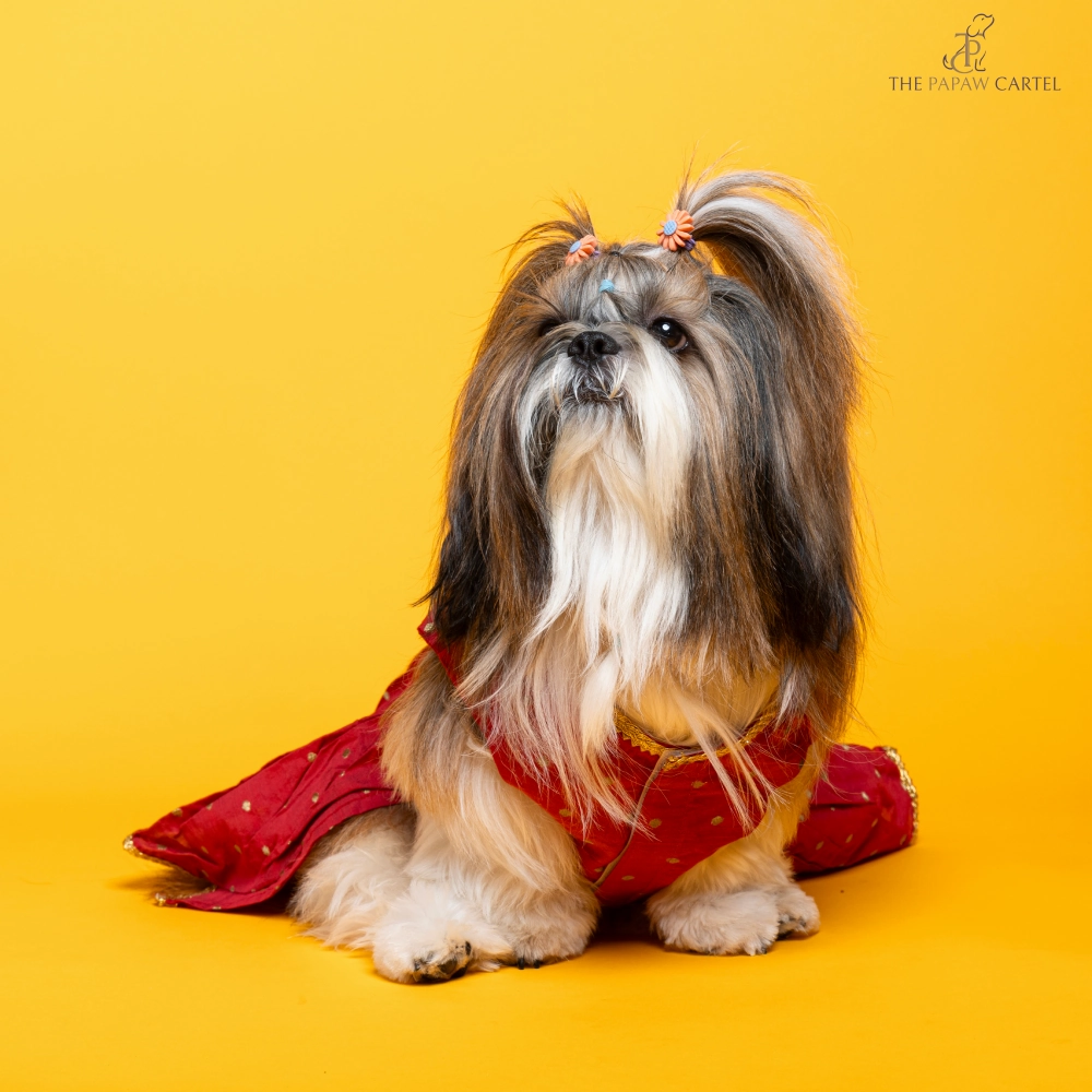 The Papaw Cartel Desi Girl in Banarasi Polka Dot Gown for Dogs (Red)
