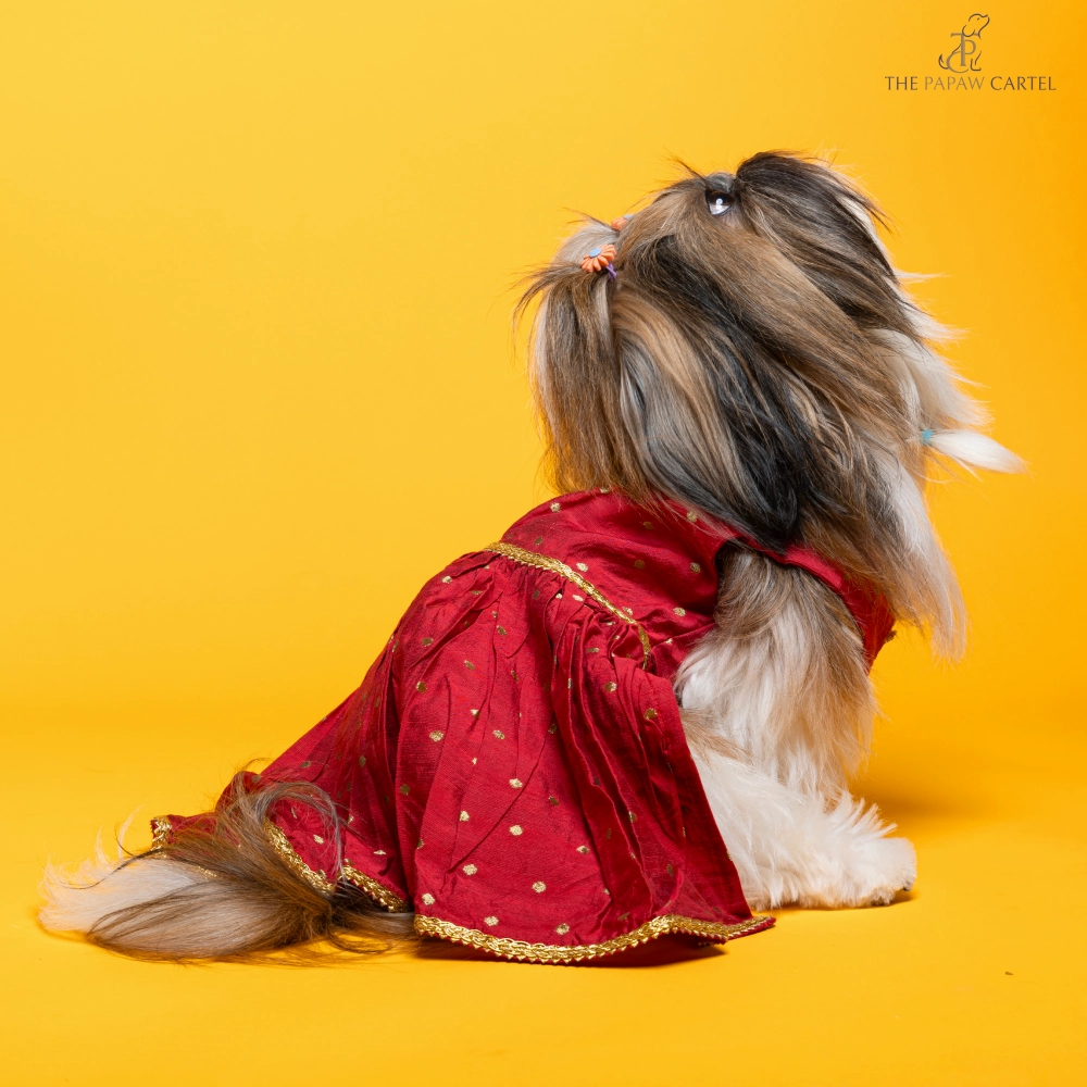 The Papaw Cartel Desi Girl in Banarasi Polka Dot Gown for Dogs (Red)