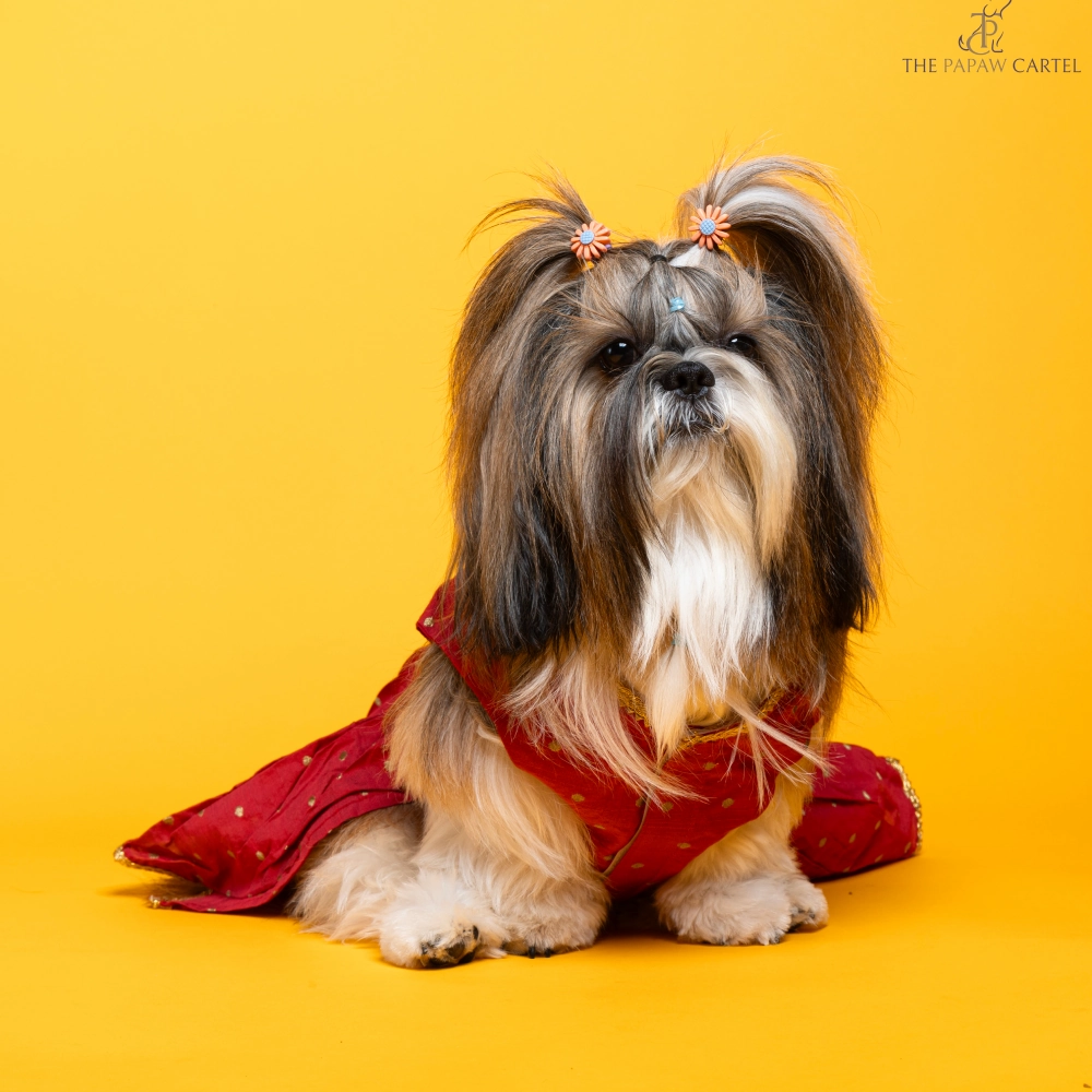 The Papaw Cartel Desi Girl in Banarasi Polka Dot Gown for Dogs (Red)