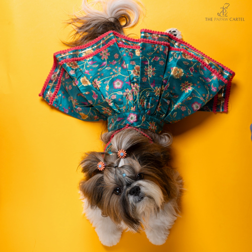 The Papaw Cartel Dil Rooba Floral Ghagra Choli for Dogs (Teal)