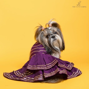 The Papaw Cartel Double Layered Gotapatti Ethnic Frock for Dogs (Purple)