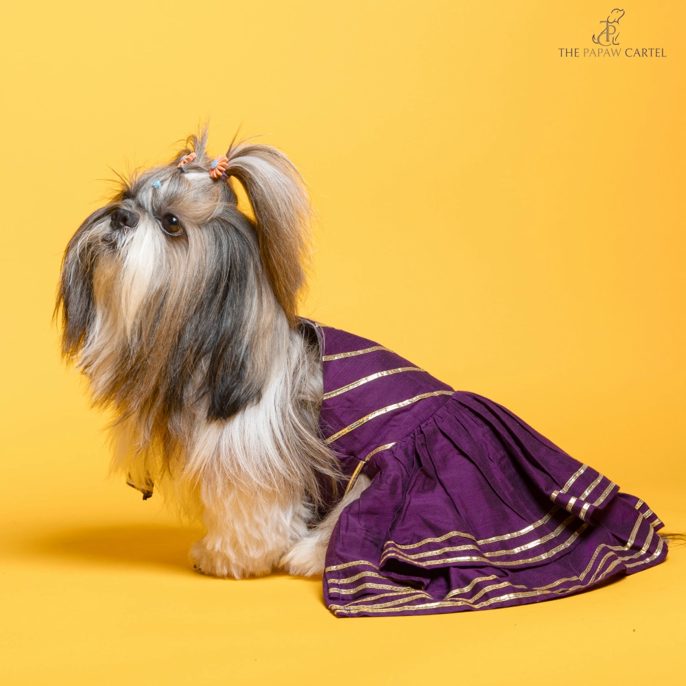 The Papaw Cartel Double Layered Gotapatti Ethnic Frock for Dogs (Purple)