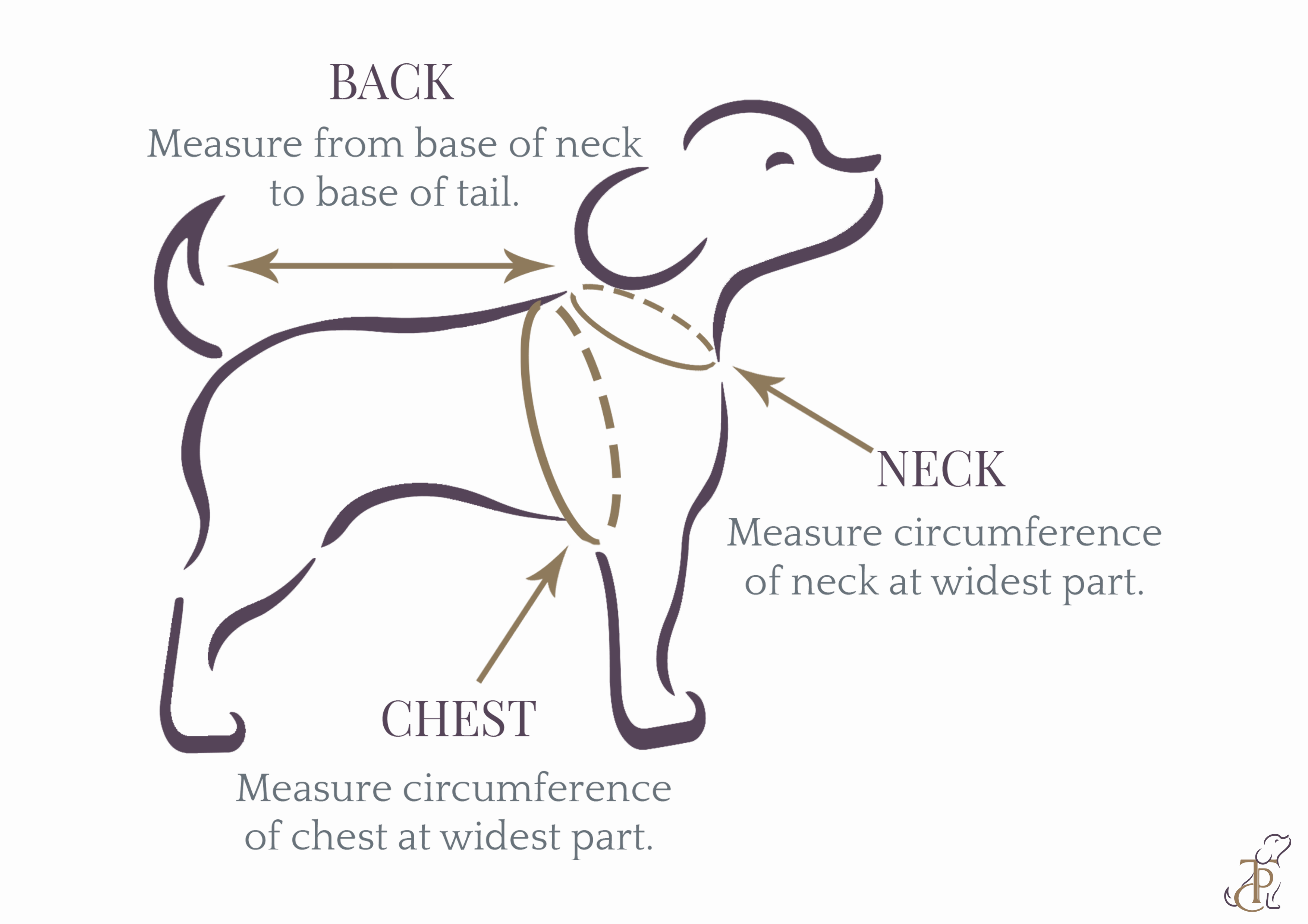 The Papaw Cartel Double Layered Gotapatti Ethnic Frock for Dogs (Purple)