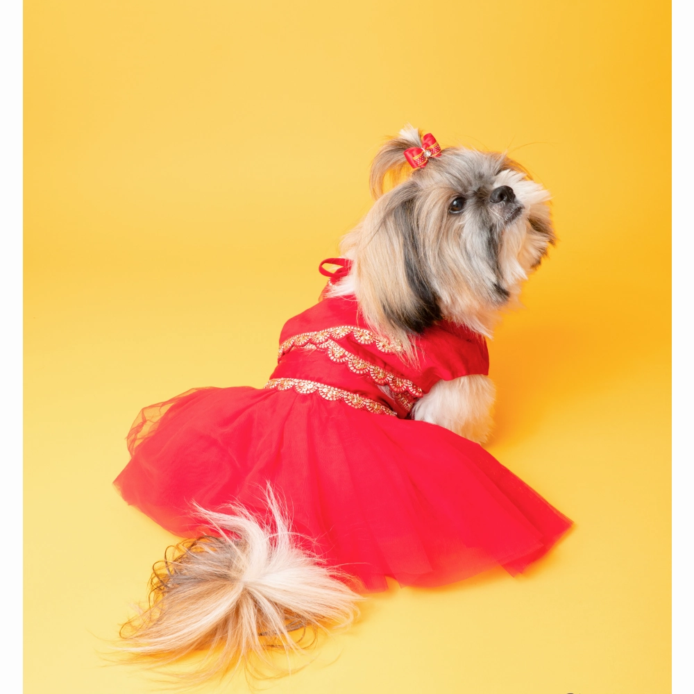 The Papaw Cartel Embellished Chanya Choli For Dogs (Red)