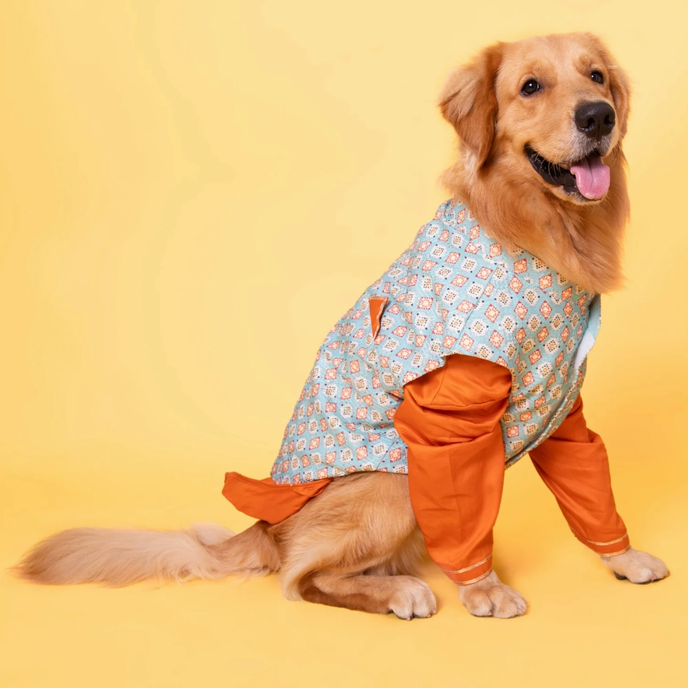 The Papaw Cartel Floral Aztec Koti With Kurta for Dogs (Mint Blue/Orange)