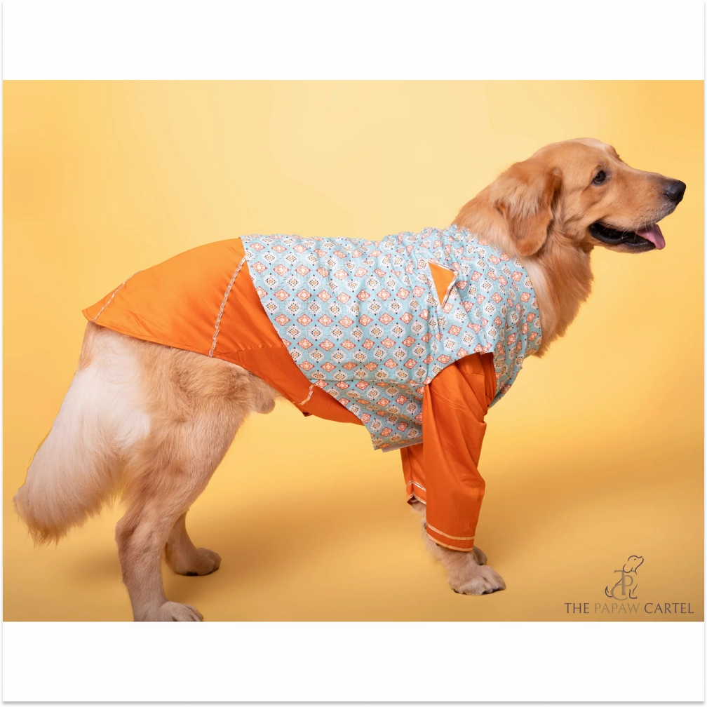 The Papaw Cartel Floral Aztec Koti With Kurta for Dogs (Mint Blue/Orange)