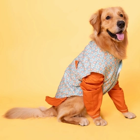 The Papaw Cartel Floral Aztec Koti With Kurta for Dogs (Mint Blue/Orange)
