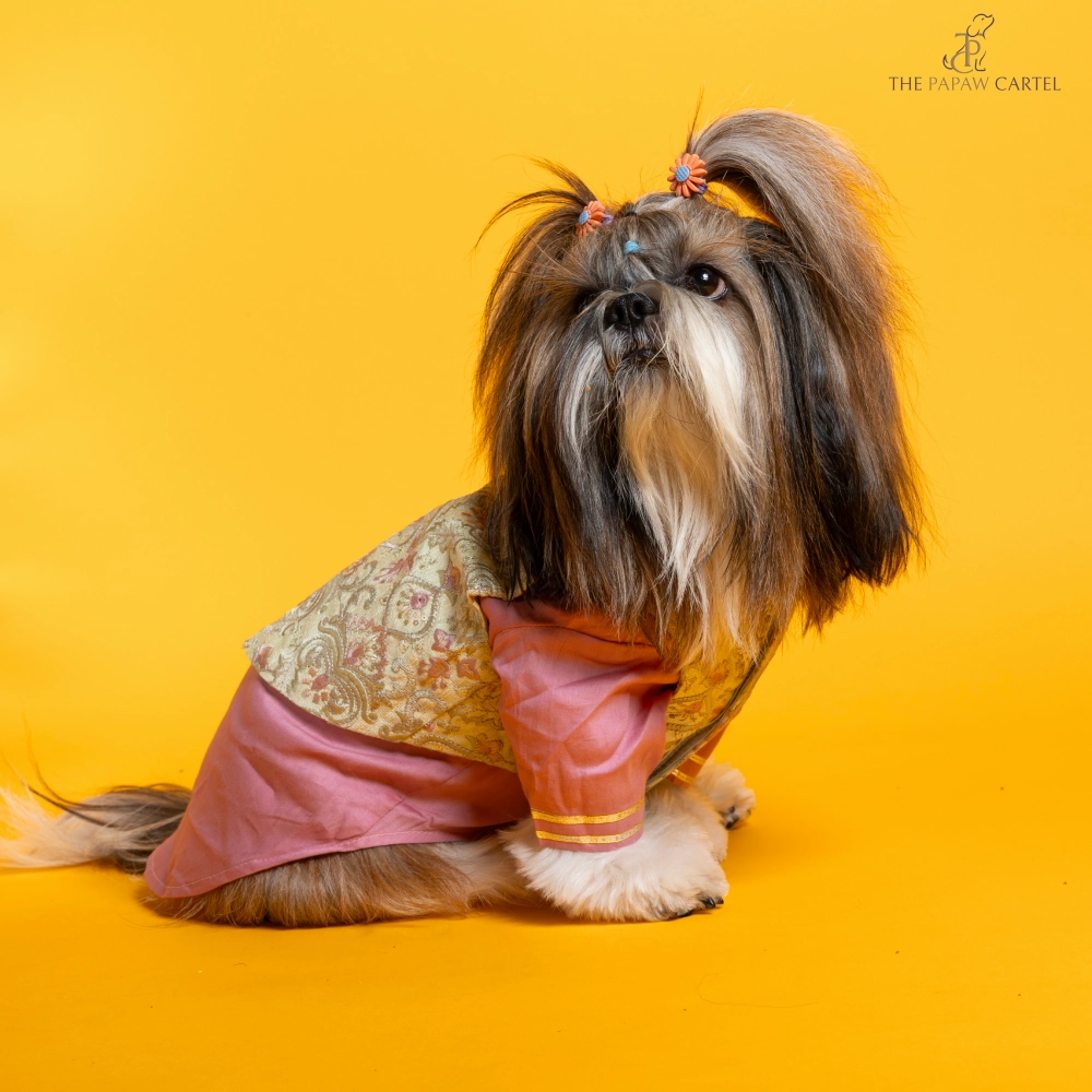 The Papaw Cartel Floral Embroidered Koti and Kurta set for Dogs (Pink)