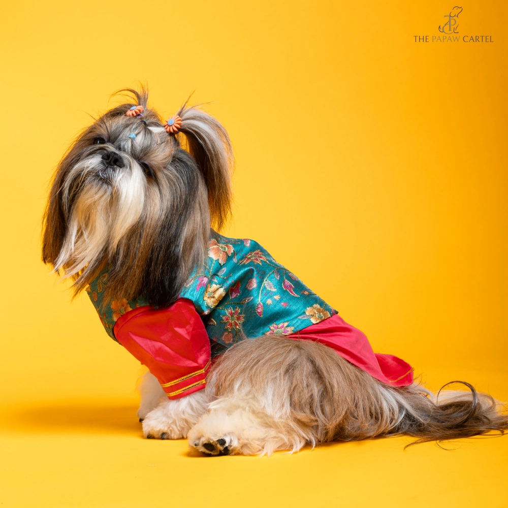 The Papaw Cartel Fuschia Kurta with Contrasting Floral Teal Koti for Dogs (Pink)