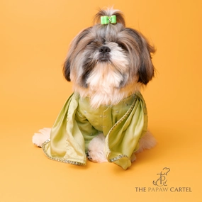 The Papaw Cartel Mirror Sherwani With Dupatta For Dogs (Chokos Green)