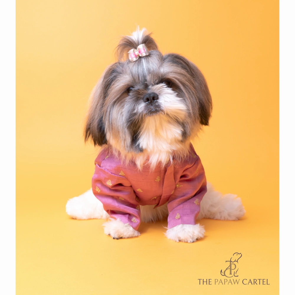 The Papaw Cartel Sequin Embroidered Sherwani For Dogs (Onion Pink)