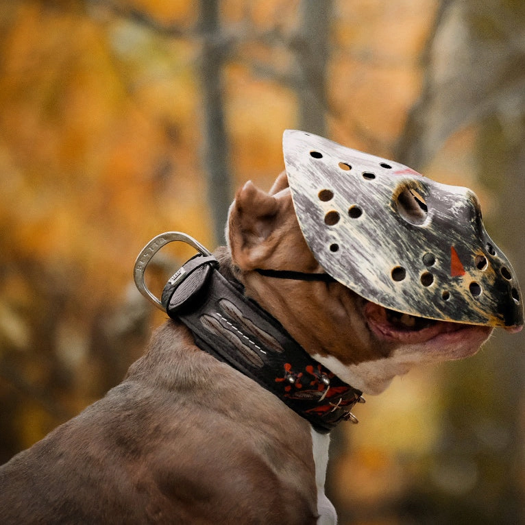 The "Haunted'' collar LIMITED