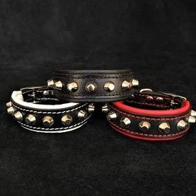 The "Rock" collar