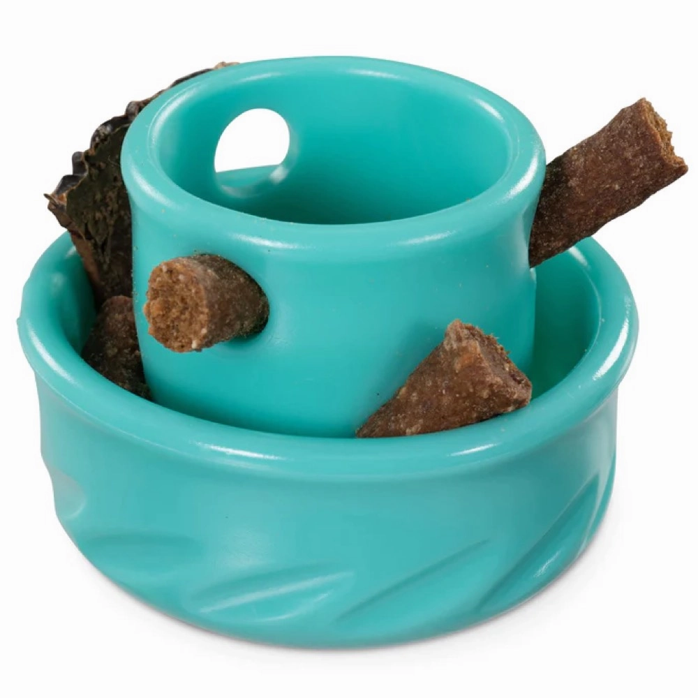 Totally Pooched Puzzle'n Play Mushroom Dog Toy (Teal)
