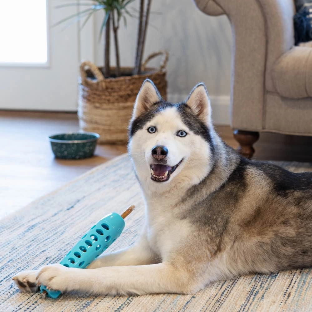 Totally Pooched Stuff'n Chew Rocket Stick Dog Toy (Green)