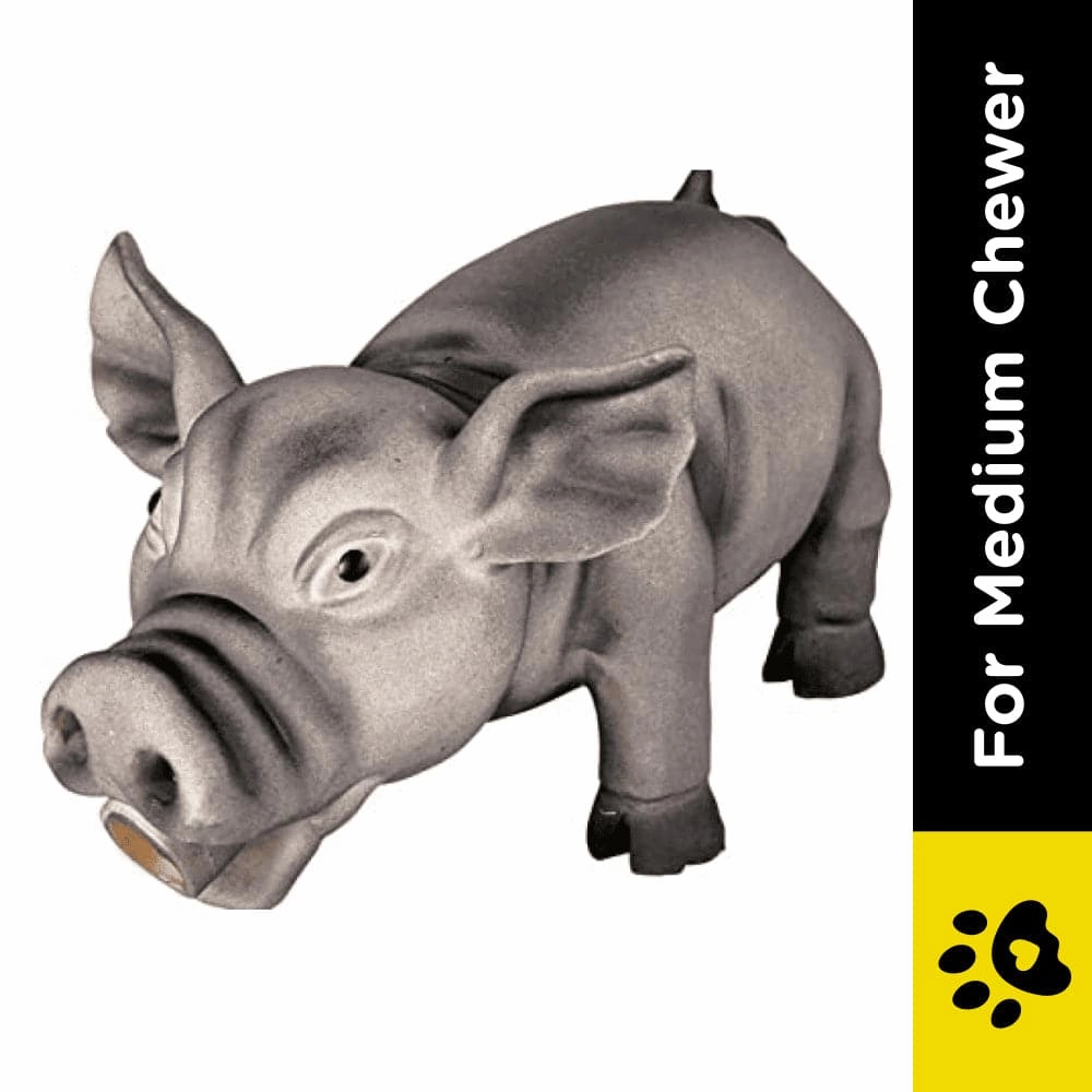 Trixie Pig Animal Sound Latex/Polyester Fleece Toy for Dogs