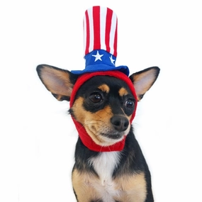 Uncle Sam Hat