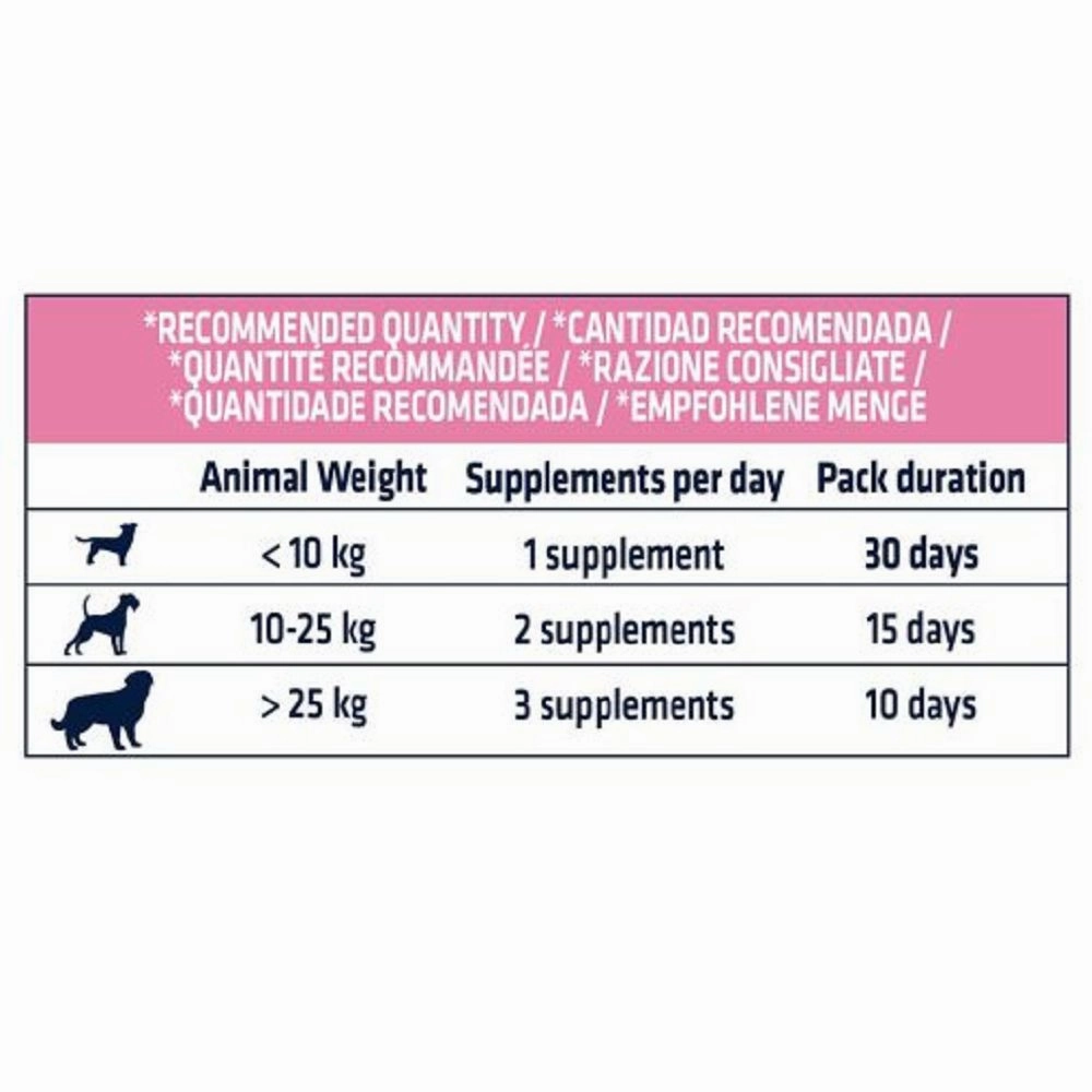 Veterinary Diets - Derma Forte Supplement for Dogs
