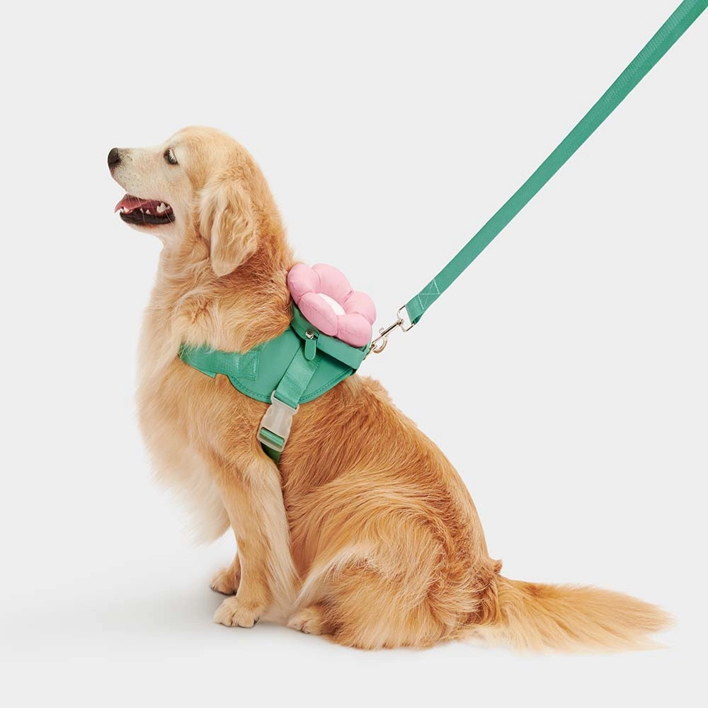 VETRESKA Flora Collar, Backpack Harness & Leash Set For Cats & Dogs