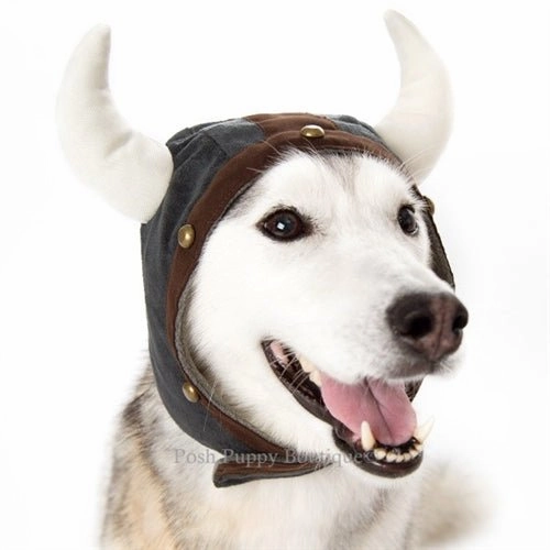 Viking Helmet Hat