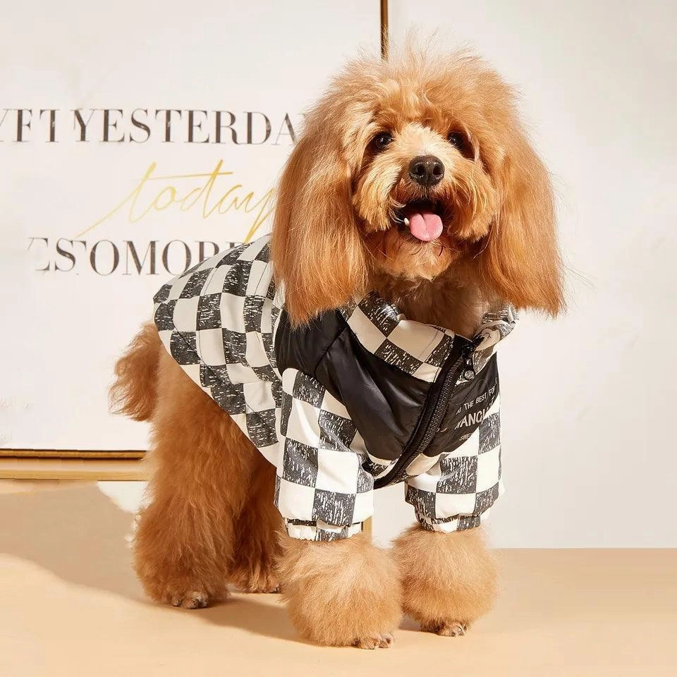 Wangupet Fashion Check Jacket