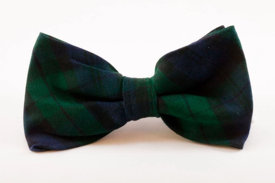 Watch Plaid Dog Bow Tie