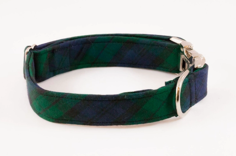 Watch Plaid Dog Collar