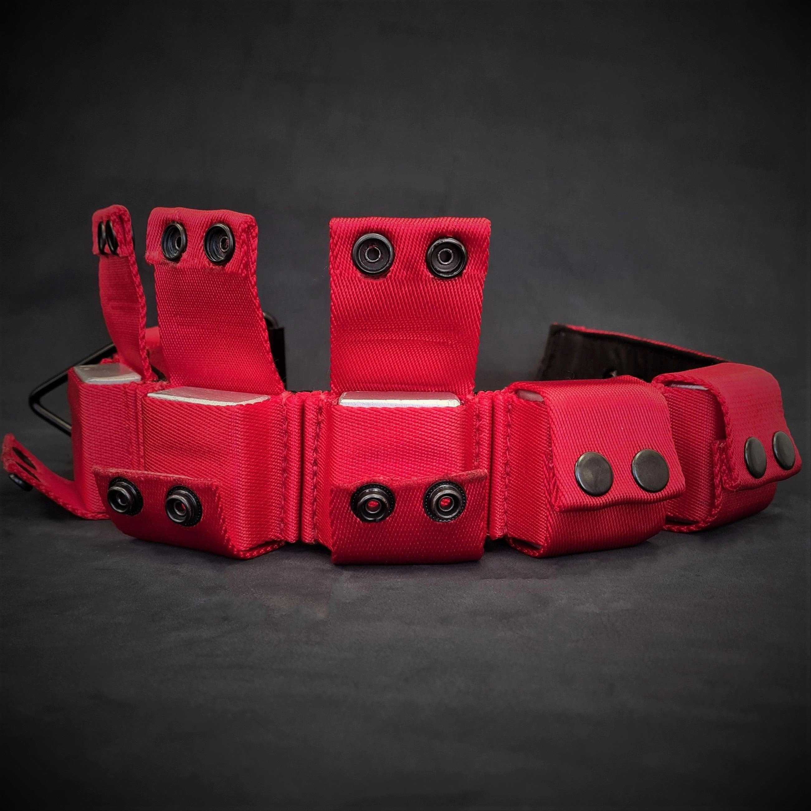 Weighted dog training collar- Red. Large breeds. 5 lbs total. removable weights