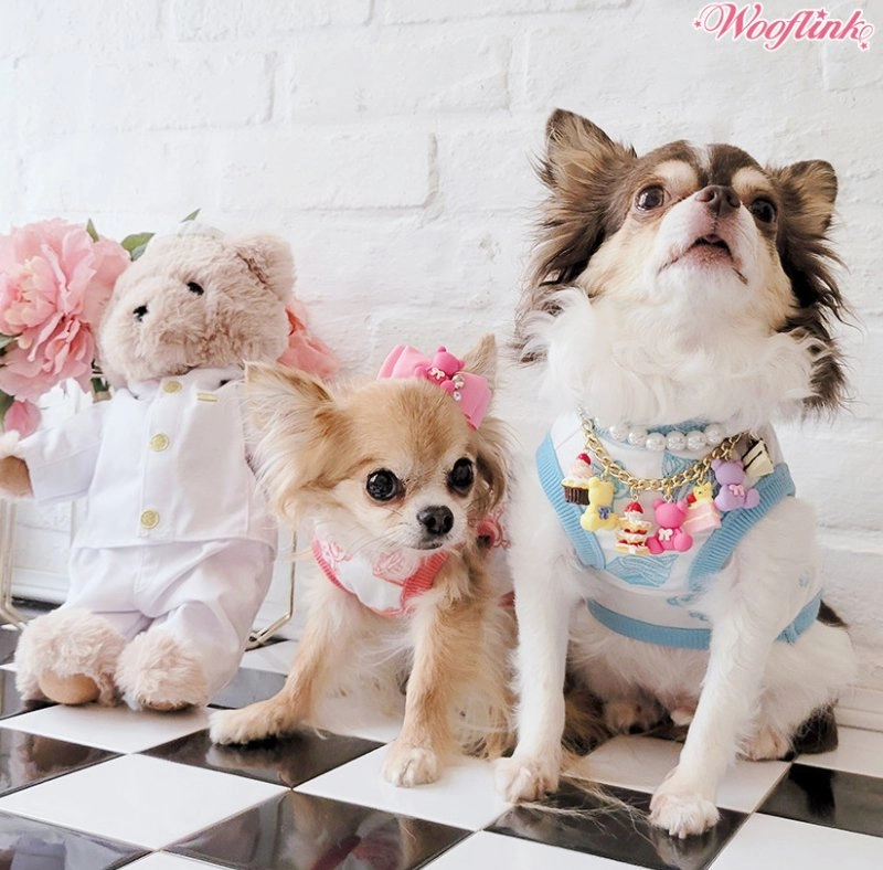Wooflink BB Loves Cupcake Top - Baby Blue