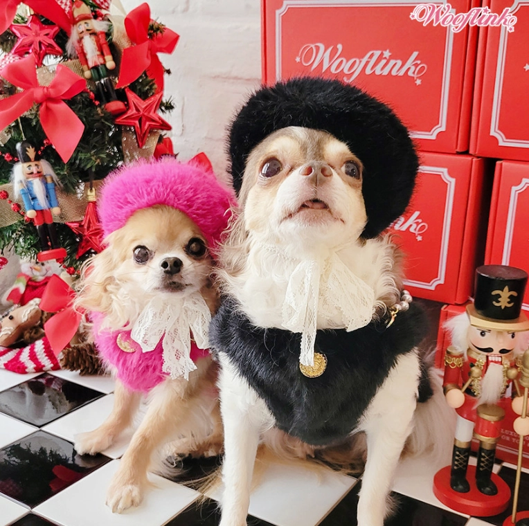 Wooflink Luxe Fur Beret in Pink