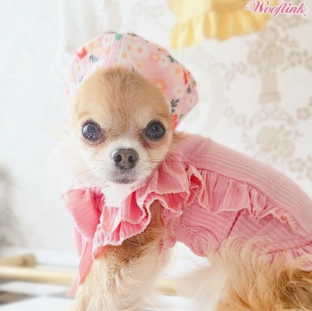 Wooflink Sunshine on my Mind Top - Pink