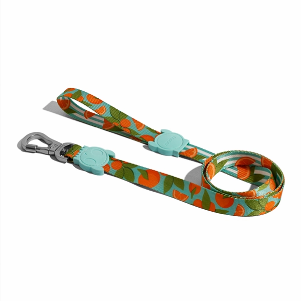 Zee.Dog Dog Leash (Florida)
