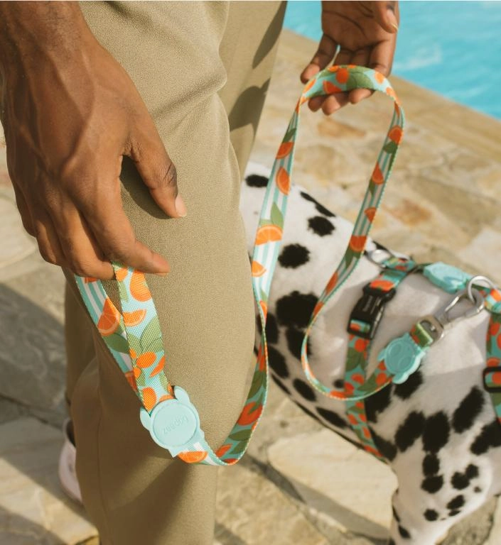 Zee.Dog Dog Leash (Florida)