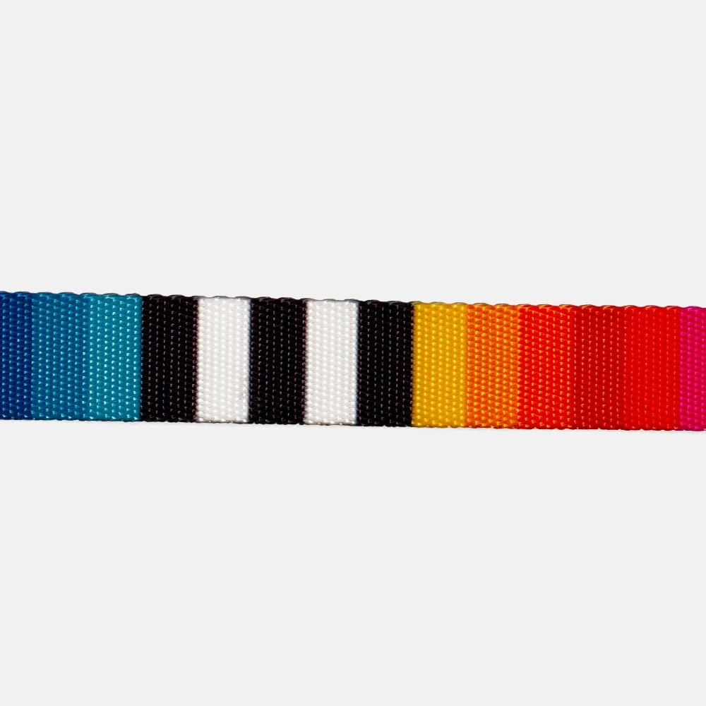 Zee.Dog Dog Leash (Prisma) XS