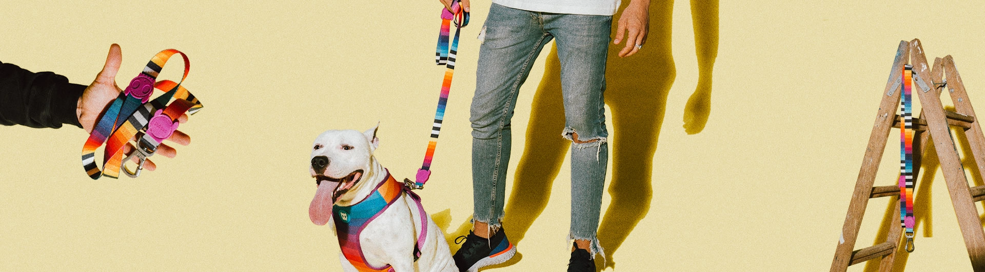 Zee.Dog Dog Leash (Prisma) XS
