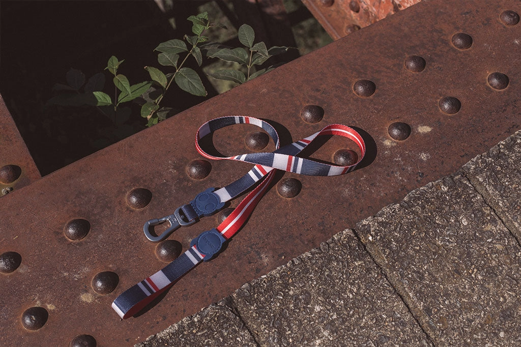 Zee.Dog Dog Leash (Rocket)