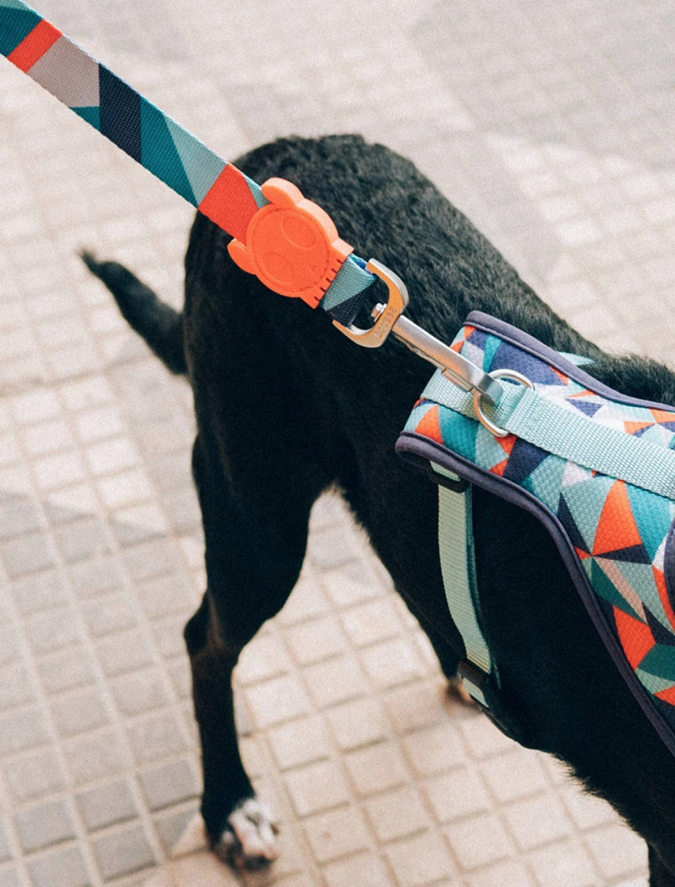 Zee Dog Ella Leash