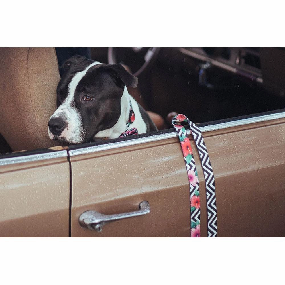 Zee.Dog Mahalo Dog Leash