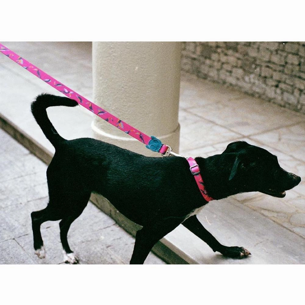 Zee.Dog Paradise Dog Leash